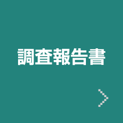 調査報告書